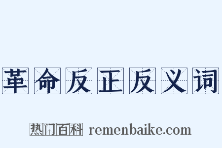 革命反正反义词是什么意思的图片